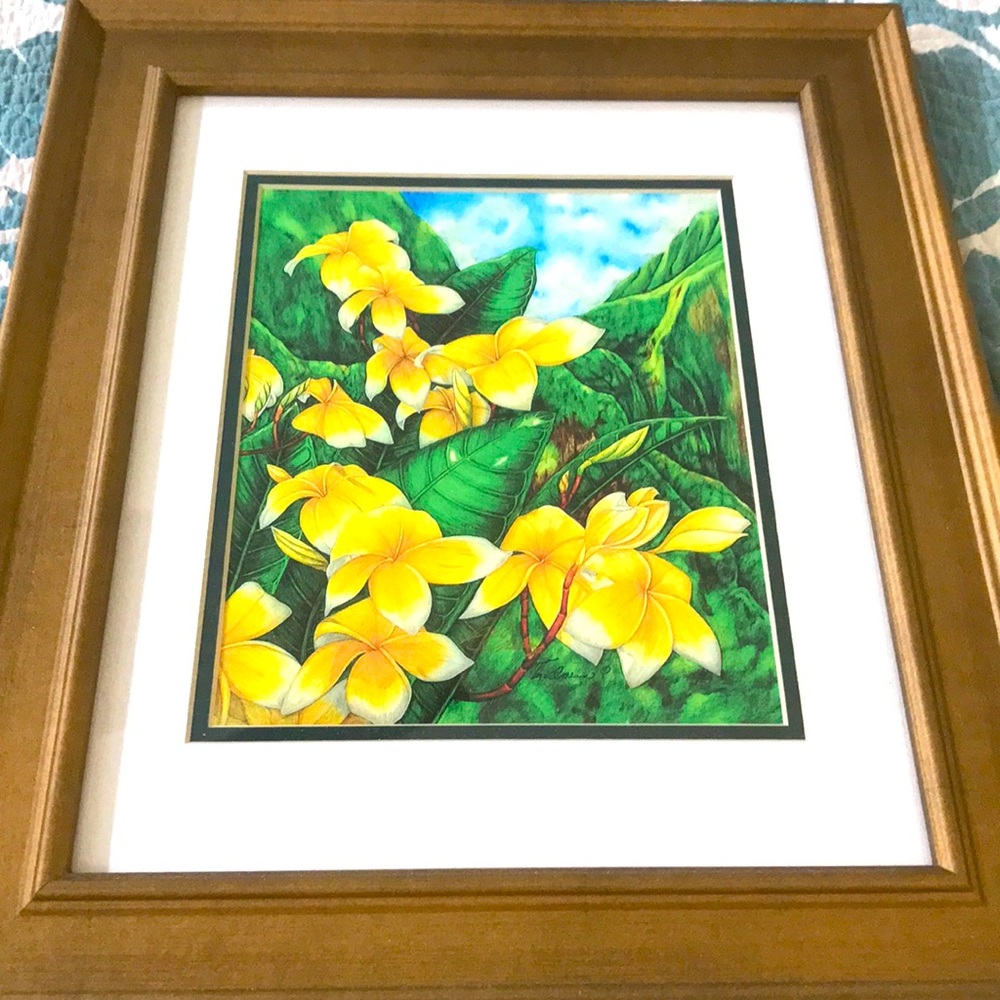 LIMITED EDITION SIGNED AND FRAMED HAWAIIAN PRINT